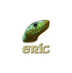 eric-python-6892281