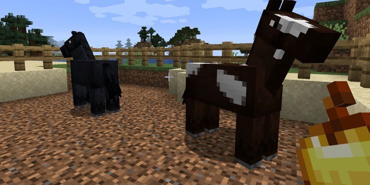 wie man pferde in minecraft zuchtet bytepeaker