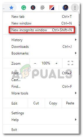 new-incognito-window-2498483