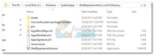 shell-experiences-4870310-1977435-jpg