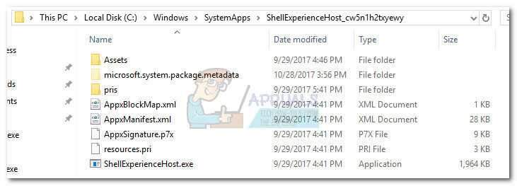shell-experiences-7412468