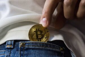 bitcoin-bolsillo_14578-2661477-2692665-jpg